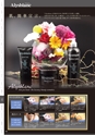 TRUST&FUSION ESTHETIC CATALOG Vol.11 Vol.11